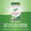 Nature’s Way Moringa, Traditional Superfood, Supports Antioxidant Pathways*, 800 mg per 2-Capsule Serving, 120 Vegan Capsules