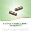 Nature’s Way Moringa, Traditional Superfood, Supports Antioxidant Pathways*, 800 mg per 2-Capsule Serving, 120 Vegan Capsules