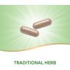 Nature’s Way Butcher’s Broom, Traditional Herb, 720 mg per 2-Capsule Serving, Non-GMO Project Verified, 100 Vegan Capsules (Packaging May Vary)(100 Count (Pack of 1))