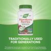 Nature’s Way Herbal Hawthorn Berries, Traditional Heart Health Support*, 100 Vegan Capsules (Packaging May Vary)(100 Count (Pack of 1))