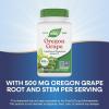 Nature’s Way Oregon Grape, Traditional Digestive Support*, Non-GMO Project Verified, 500 mg per Serving, 90 Capsules (Packaging May Vary)