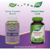 Nature’s Way Quercetin Gummies with Zinc, Immune Defense Support*, Antioxidant Support *, Lemon Flavored, 60 Gummies (Packaging May Vary)
