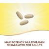 Nature’s Way Alive! Max3 Potency Daily Multivitamin, Methylated B12 and Folate, Ultra Potency B-vitamins to Support Energy Metabolism*, 180 Tablets(180 Count (Pack of 1))