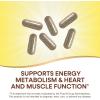 Nature’s Way Alive! Max6 Potency Adult Complete Multivitamin, Vitamins A,C, E & B-Vitamins, Methyl B12 & Folate, Supports Heart & Muscle Function and Energy Metabolism*, No Added Iron, 90 Capsules