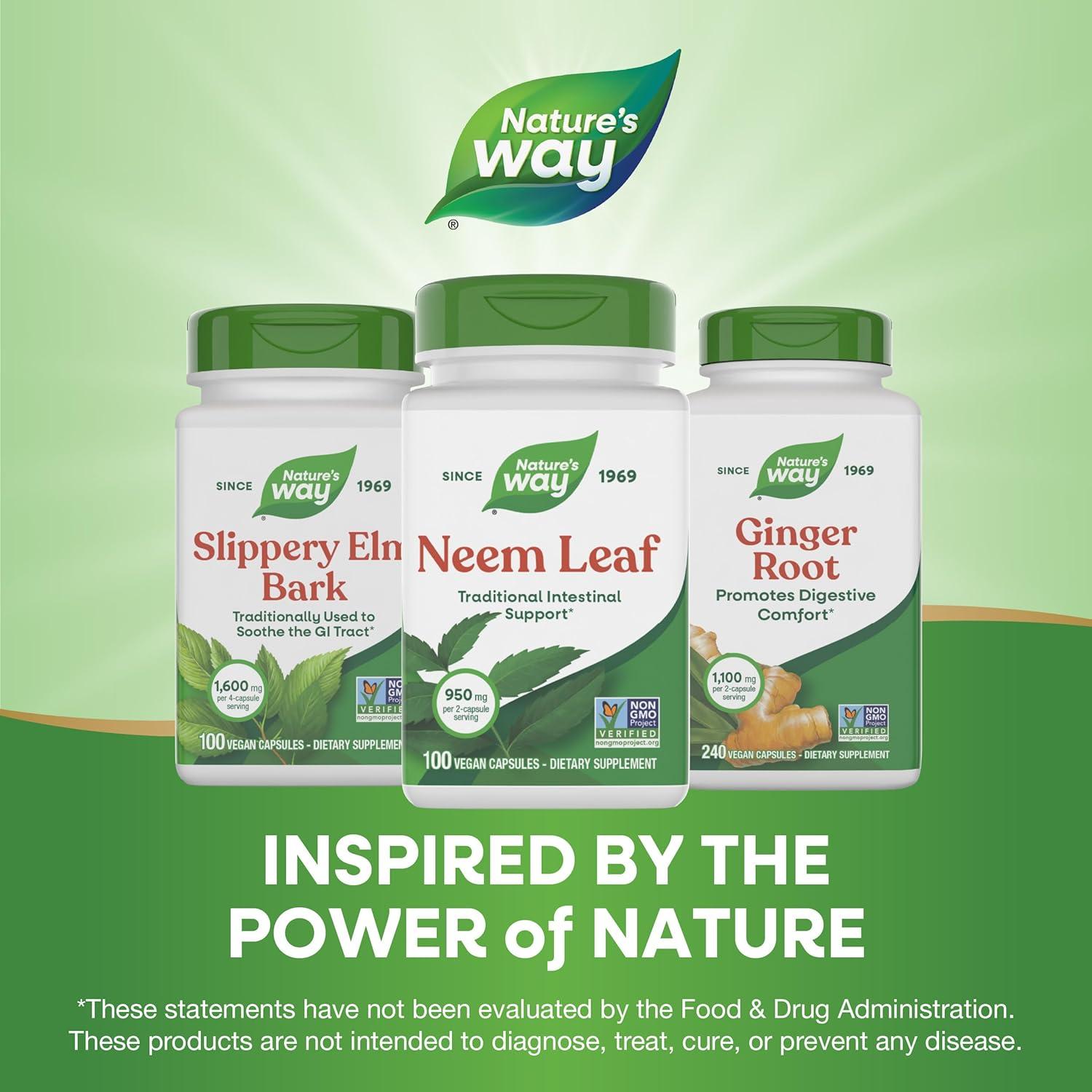 image:imageNatures Way Neem Leaf Capsules Traditional Intestinal Support Used in Ayurveda 950 mg per 2Capsule Serving NonGMO Project Verified Vegan 100 Count Packaging May Vary100 Count Pack of 2