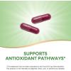 Nature’s Way Beet Root Capsules, Supports Antioxidant Pathways*, Helps Neutralize Free Radicals*, 1000 mg per 2-Capsule Serving, Vegan, 320 Count (Packaging May Vary)(320 Count (Pack of 1))