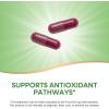 Nature’s Way Beet Root Capsules, Supports Antioxidant Pathways*, Helps Neutralize Free Radicals*, 1000 mg per 2-Capsule Serving, Vegan, 320 Count (Packaging May Vary)(100 Count (Pack of 1))