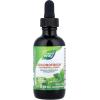 Nature’s Way Chlorofresh Chlorophyll Drops, Supports Detox Pathways*, Liquid Chlorophyllin Copper Complex, Supports Healthy Skin*, Internal Deodorant*, Mint Flavored, 2 Fl Oz (Packaging May Vary)