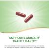 Nature’s Way Cranberry Fruit, Cranberry Supplements, Supports Urinary Tract Health*, 930 mg per 2-Capsule Serving, 180 Capsules (Packaging May Vary)(180 Count (Pack of 1))