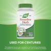 Nature’s Way Feverfew Herb, Traditional Support for Blood Vessel Relaxation*, 380 mg per Serving, Non-GMO Project Verified, 180 Vegan Feverfew Capsules (Packaging May Vary)(180 Count (Pack of 2))