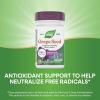 Nature’s Way Grape Seed Standardized Extract, Supports Healthy Skin and Veins*, Antioxidant Support*, Non-GMO Project Verified, 30 Vegan Capsules (Packaging May Vary)