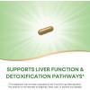 Nature’s Way Milk Thistle, Supports Liver Function & Liver Detox Pathways*, 175 mg Milk Thistle Seed Extract Standardized to 80% Silymarin per Serving, Vegan, 60 Capsules (Packaging May Vary)(60 Count (Pack of 1))