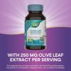 Nature’s Way Olive Leaf, Premium Extract, Supports Heart Health*, 20% Oleuropein, 250 mg per serving, Non-GMO Project Verified, 60 Vegan Capsules (Packaging May Vary)