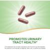 Nature’s Way Urinary with Cranberry Premium Blend, Promotes Urinary Tract Health*, with Cranberry, Dandelion, Vegan, Non-GMO Project Verified, 100 Capsules (Packaging May Vary)(100 Count (Pack of 1))