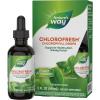 Nature’s Way Chlorofresh Chlorophyll Drops, Supports Detox Pathways*, Liquid Chlorophyllin Copper Complex, Supports Healthy Skin*, Internal Deodorant*, Mint Flavored, 2 Fl Oz (Packaging May Vary)
