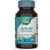 Nature’s Way Olive Leaf, Premium Extract, Supports Heart Health*, 20% Oleuropein, 250 mg per serving, Non-GMO Project Verified, 60 Vegan Capsules (Packaging May Vary)