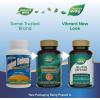 Enzymatic Therapy Gluten Defense, Gluten & Casein Targeted Digestive Enyzmes, 120 VCaps (Packaging May Vary)(120 Count (Pack of 2))