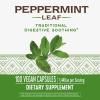 Nature’s Way Peppermint Leaf, Traditionally Used to Soothe Digestion*, 700 mg per 2-Capsule Serving, Peppermint Supplement, Non-GMO Project Verified, 100 Vegan Capsules (Packaging May Vary)(100 Count (Pack of 2))
