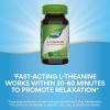 Nature’s Way L-Theanine, Stress Support*, Promotes Relaxation*, 200 mg per 2-Capsule Serving, Vegan, 60 Capsules (Packaging May Vary)
