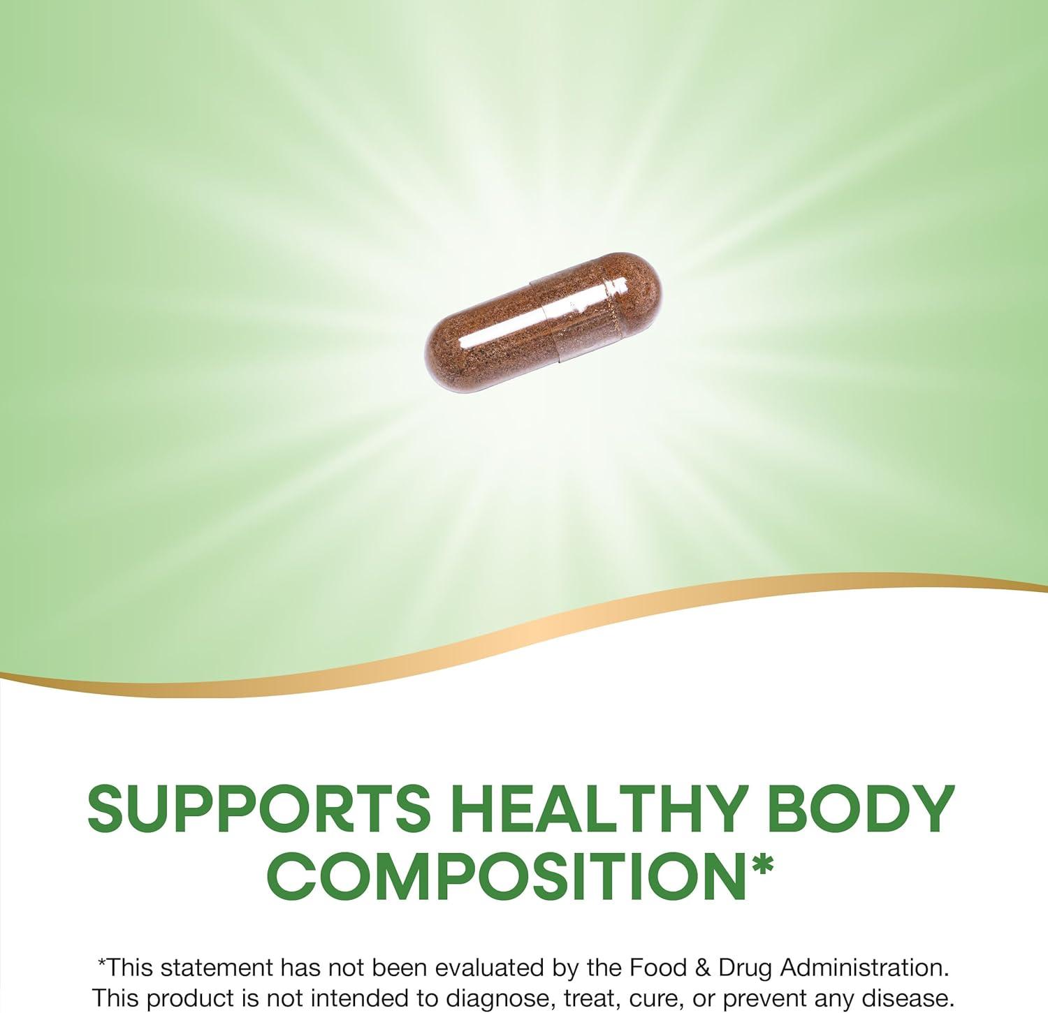 image:imageNatures Way Forskohlii Supports Healthy Body Composition Standardized Extract 125 mg ForsLean per Serving 60 Vegan Capsules Packaging May Vary