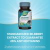 Nature’s Way Bilberry Premium Extract, Supports Eye Health*, Eye Health Supplement for Adults with Black Elderberry*, Gluten Free, Vegan, 60 Capsules (Packaging May Vary)