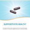 Nature’s Way Bilberry Premium Extract, Supports Eye Health*, Eye Health Supplement for Adults with Black Elderberry*, Gluten Free, Vegan, 60 Capsules (Packaging May Vary)