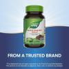 Nature’s Way Black Walnut Hulls, Traditional Digestive Tract Tonic*, 900 mg per 2-Capsule Serving, Non-GMO Project Verified, Vegan, 100 Capsules (Packaging May Vary)(100 Count (Pack of 2))