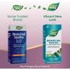 Nature’s Way Bronchial Soothe Ivy Leaf Extract Syrup, Supports Respiratory Health*, Supports Clear Bronchial Passages*, Non-Drowsy, 4 Fl Oz (Packaging May Vary)(4 Fl Oz (Pack of 2))