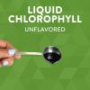 Nature’s Way Chlorofresh, Liquid Chlorophyll, Supports Healthy Skin & Body Detox*, Internal Deodorant Supplement*, Supports Detoxification Pathways*, Unflavored, 16 Fl. Oz