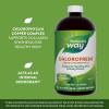 Nature’s Way Chlorofresh, Liquid Chlorophyll, Supports Healthy Skin & Body Detox*, Internal Deodorant Supplement*, Supports Detoxification Pathways*, Unflavored, 16 Fl. Oz