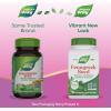 Nature’s Way Fenugreek Seed Supplement, Fenugreek for Traditional Breastfeeding Lactation Support*, Non-GMO Project Verified, Vegan, 100 Capsules (Packaging May Vary)(100 Count (Pack of 1))
