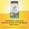 Nature’s Way Ginkgo Premium Extract, Supports Memory & Concentration*, 120 mg Ginkgo Biloba Extract per 2-Capsule Serving, with Gotu Kola, Vegan, No Gluten, 60 Capsules (Packaging May Vary)