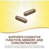 Nature’s Way Ginkgo Premium Extract, Supports Memory & Concentration*, 120 mg Ginkgo Biloba Extract per 2-Capsule Serving, with Gotu Kola, Vegan, No Gluten, 60 Capsules (Packaging May Vary)