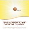 Nature’s Way Ginkgold Advanced Ginkgo Extract, Supplements for Support of Memory and Focus*, Ginkgo Biloba Extract, Supports Focus & Cognitive Function*, 150 Tablets (Packaging May Vary)