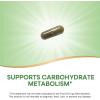 Nature’s Way Gymnema Premium Extract, Supports Carbohydrate Metabolism*, 500 mg per Serving, Non-GMO Project Verified, 60 Vegan Capsules (Packaging May Vary)