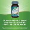 Nature’s Way Horse Chestnut Extract, Premium Extract, Promotes Healthy Leg Veins*, 250 mg per Serving, Vegan, 90 Capsules (Packaging May Vary)(90 Count (Pack of 2))