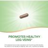 Nature’s Way Horse Chestnut Extract, Premium Extract, Promotes Healthy Leg Veins*, 250 mg per Serving, Vegan, 90 Capsules (Packaging May Vary)(90 Count (Pack of 1))