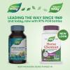 Nature’s Way Horse Chestnut Extract, Premium Extract, Promotes Healthy Leg Veins*, 250 mg per Serving, Vegan, 90 Capsules (Packaging May Vary)(90 Count (Pack of 1))
