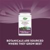 Nature’s Way Kidney Bladder Premium Blend, Traditional Herbs Supplement, 900 mg per 2-Capsule Serving, Non-GMO Project Verified, Vegan, 100 Capsules (Packaging May Vary)(100 Count (Pack of 2))