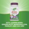 Nature’s Way Kidney Bladder Premium Blend, Traditional Herbs Supplement, 900 mg per 2-Capsule Serving, Non-GMO Project Verified, Vegan, 100 Capsules (Packaging May Vary)(100 Count (Pack of 1))