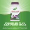 Nature’s Way Olive Leaf Standardized Extract Supplement, Supports Heart Health*, 250 mg Per Serving, Gluten Free, Vegan, 60 Capsules (Packaging May Vary)