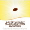 Nature’s Way Petadolex Pro-Active, Blood Vessel Health and Relaxation in the Brain with Patented Butterbur*, 60 Softgels