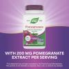 Nature’s Way Pomegranate, Supports Antioxidant Activity*, Standardized Extract, 350 mg per Serving, Non-GMO Project Verified, Vegan, 60 Capsules (Packaging May Vary)