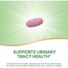 Nature’s Way Premium Blend Cranberry, Urinary Tract Health Support* Supplement with Vitamin C, 60 Tablets(60 Count (Pack of 1))