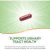 Nature’s Way Premium Blend Cranberry, Urinary Tract Health Support*, with 100% Cranberry Concentrate, 400 mg Per Serving, 120 Capsules (Packaging May Vary)(120 Count (Pack of 1))