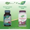 Nature’s Way Premium Blend Cranberry, Urinary Tract Health Support*, with 100% Cranberry Concentrate, 400 mg Per Serving, 120 Capsules (Packaging May Vary)(60 Count (Pack of 1))