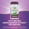 Nature’s Way Premium Extract Andrographis, Immune Support*, 300 mg Andrographis Extract per serving, 60 Capsules