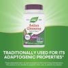 Nature’s Way, Premium Herbal Asian Ginseng, Fights Fatigue*, 60 Capsules