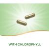 Nature’s Way Premium Herbal Parsley Leaf Provides Chlorophyll, 100 Vegan Capsules(100 Count (Pack of 1))