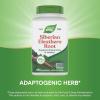 Nature’s Way Premium Herbal Siberian Eleuthero Root Supplement, Supports Endurance & Vitality*, Adaptogen*, 1,275mg per 3-Capsule Serving, Non-GMO Project Verified, 180 Capsules (Packaging May Vary)(180 Count (Pack of 1))